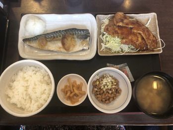 新年のご挨拶。