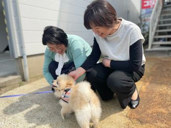 癒やされました。