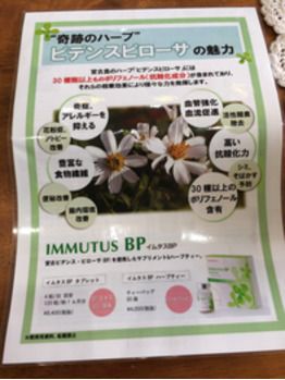 花粉の季節到来！！